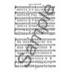 Orlando Lassus: Matona, Lovely Maiden