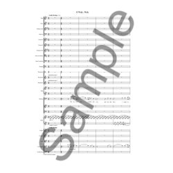 Patrick Hawes: O Waly Waly