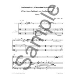 Aulis Sallinen: Don Juanquijoten Virtuoosinen Pytmusiikki (Die Virtuose Tafelmusik Von Don Juanquijote)