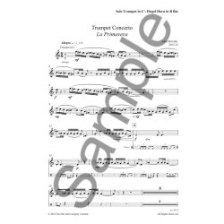 John McCabe &ndash; Trumpet Concerto (For Trumpet and Piano)