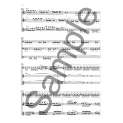 Simon Bainbridge: Music For Nine Flutes And Three Voices