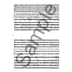 Tarik O' Regan: Corsair