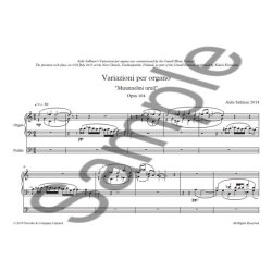 Aulis Sallinen: Variazioni Per Organo