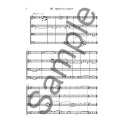 David Stoll: String Quartet No.4 - 'Spaces In A Space'