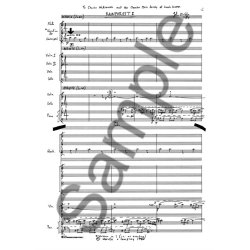 John McCabe: Rainforest 1