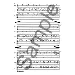 John McCabe: Rainforest 1