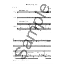 Arr. Iain Farrington: Scarborough Fair