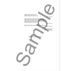 Richard Sisson: Light Thickens