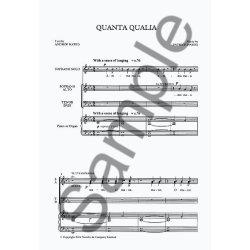 Patrick Hawes: Quanta Qualia