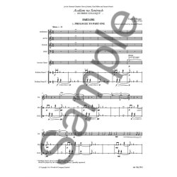 Tarik O'Regan: Acallam na Sen&oacute;rach