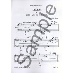 William Baines: The Lone Wreck (Tides)