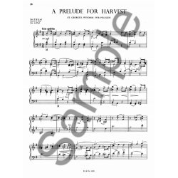 Groves, R 12 Hymn-tune Preludes Series 2 Organ With Or Without Pedals