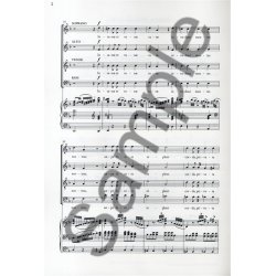 Joseph Haydn: Insanae Et Vanae Curae (New Engraving)