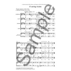 Zachary Wadsworth: O Saving Victim (Novello New Choral Series)