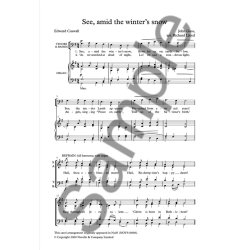 Richard Lloyd: See, Amid The Winter's Snow