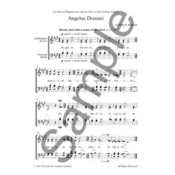 Patrick Hawes: Angelus Domini