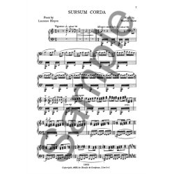 Martin Shaw: Sursum Corda
