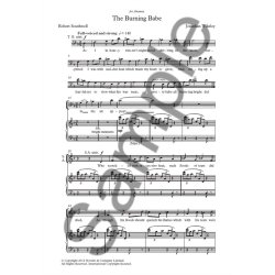 Jonathan Wikeley: The Burning Babe