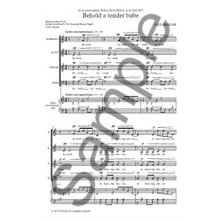 Paul Mealor: Behold A Tender Babe