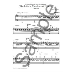 Paul Mealor: The Infinite Meadows Of Heaven