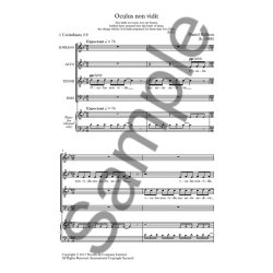 Daniel Rollison: Oculus Non Vidit