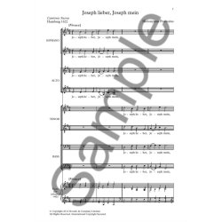 Hieronymous Praetorious: Joseph Lieber, Joseph Mein