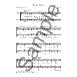 David Terry: For The Fallen