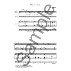 Martin Baker: Christus Vincit