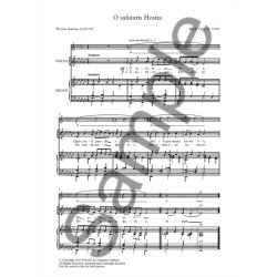 David Terry: O Salutaris Hostia