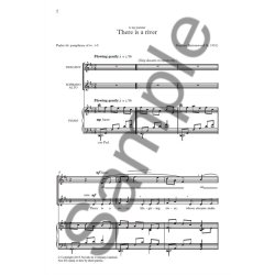 Stephen Burtonwood: There Is A River