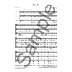 Gaspar Fernandez: Xicochi