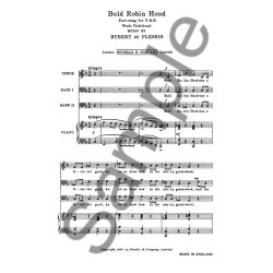 Hubert Du Plessis: Bold Robin Hood