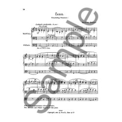 Village Organist Book 8