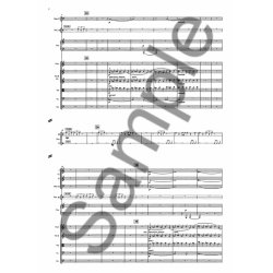 Aulis Sallinen: Symphony No.8 Op.81-Autumnal Fragments (Study Score)
