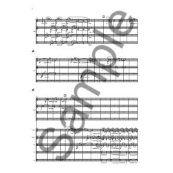 Aulis Sallinen: Chamber Music VI Op. 88