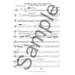 Dufeutrelle Cayre Serpent A Sons Nets Flute Ensemble Score/Parts