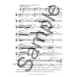 Dufeutrelle Vagues Vagues Alto Flute Book