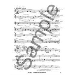 Dufeutrelle Vagues Vagues Alto Flute Book