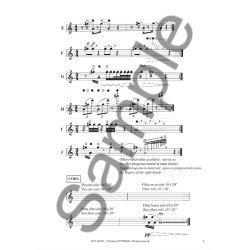 Dufeutrelle Voliere Du Puy Flute Ensemblescore