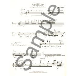 Lacaze Rimbaud Voyelles Sur Un Poeme D'arthur Rimbaud Flute Solo Book