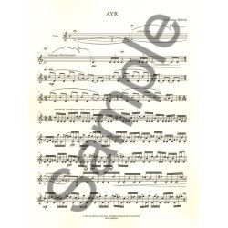 Dufeutrelle Etc Au Fil Du Vent Vol. 2 Flute Solo Anthology