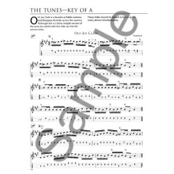 Bob Grant: Fiddle Tunes For Flatpickers - Mandolin