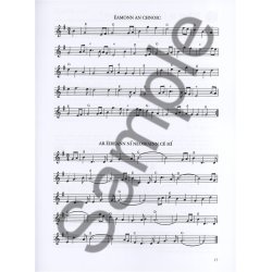 David C. Hanrahan: The Box - A Beginner's Guide To The Irish Traditional Button Accordion