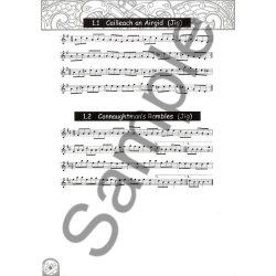 Irish Session Tunes: The Orange Book (CD Edition)