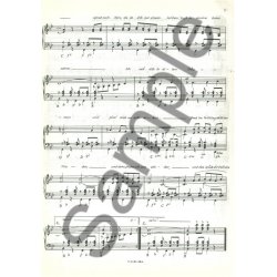 Peer's Akkordeon Reihe 5