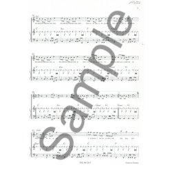 NIEBERGALL U WITTE R SOLDIER SOLDIER PVG