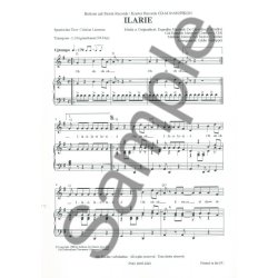 DE CARVALHO MEIRELES ILARIE PV