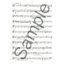 KEINEMANN TOCCATISSIMO MAND 2 PART