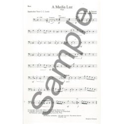 MEDIA LUZ SCHATZ SIERRA MADRE BK BND SC/PTS