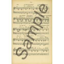 OUI OUI OUI OUI DOMINO BK PF COND/PTS XL SET